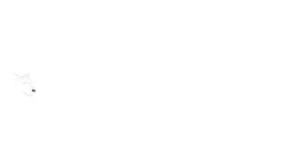 FishCostaRica Logo